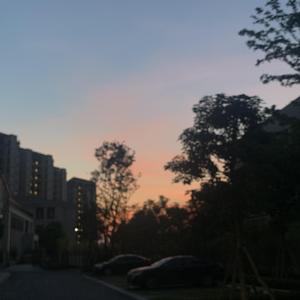 美国黑人做爱XXXYYX
